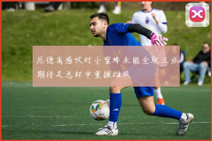 厄德高感叹对小蜜蜂未能全取三分期待足总杯中重振雄风