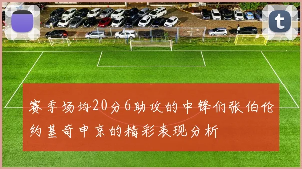 赛季场均20分6助攻的中锋们张伯伦约基奇申京的精彩表现分析
